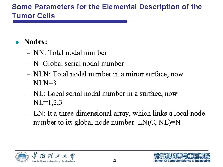 Some Parameters for the Elemental Description of the Tumor Cells l Nodes: – NN: