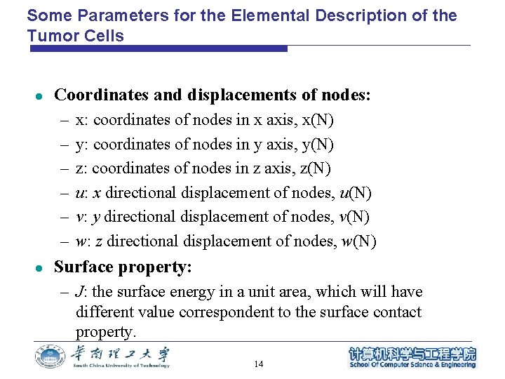 Some Parameters for the Elemental Description of the Tumor Cells l Coordinates and displacements