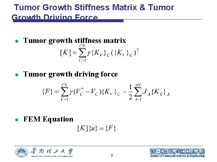 Tumor Growth Stiffness Matrix & Tumor Growth Driving Force l Tumor growth stiffness matrix