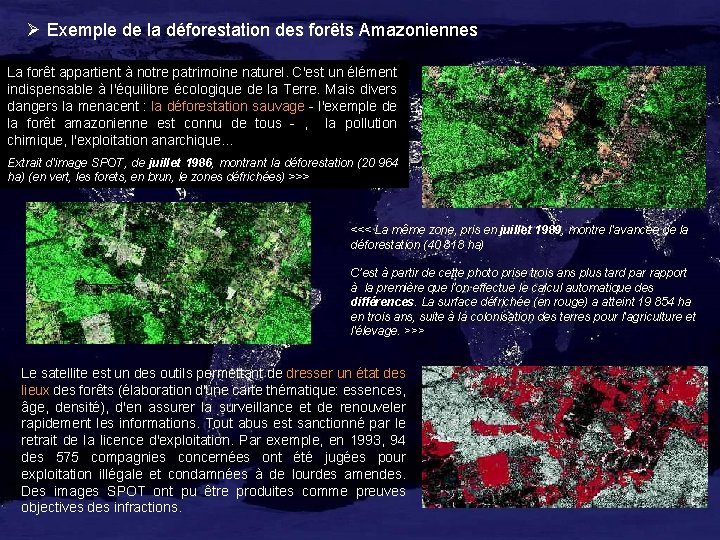 Ø Exemple de la déforestation des forêts Amazoniennes La forêt appartient à notre patrimoine