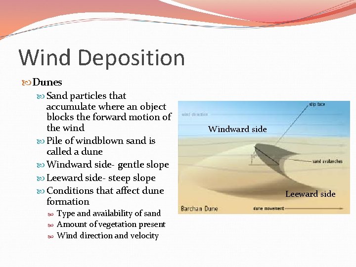 Wind Deposition Dunes Sand particles that accumulate where an object blocks the forward motion