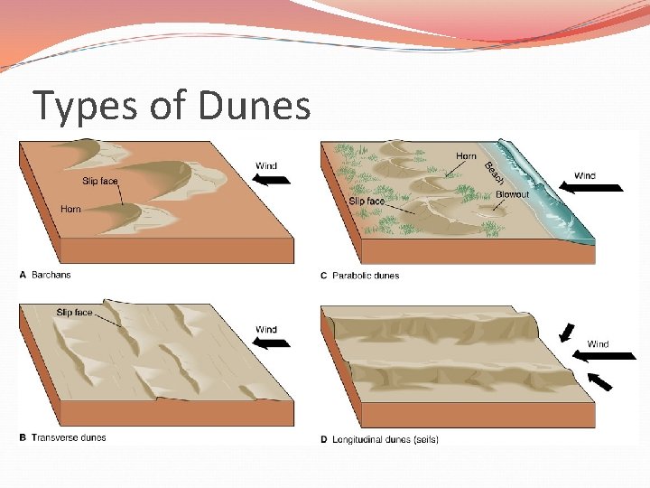 Types of Dunes 