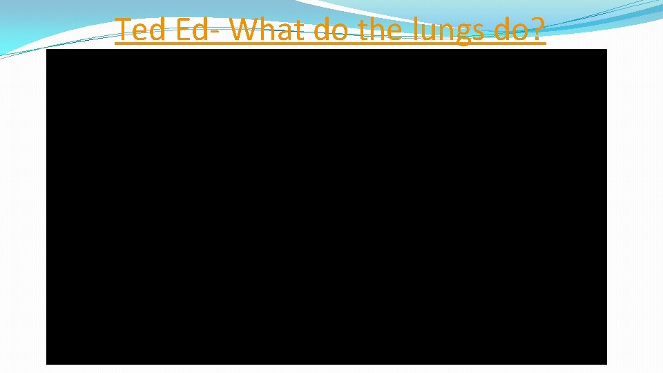 Ted Ed- What do the lungs do? 