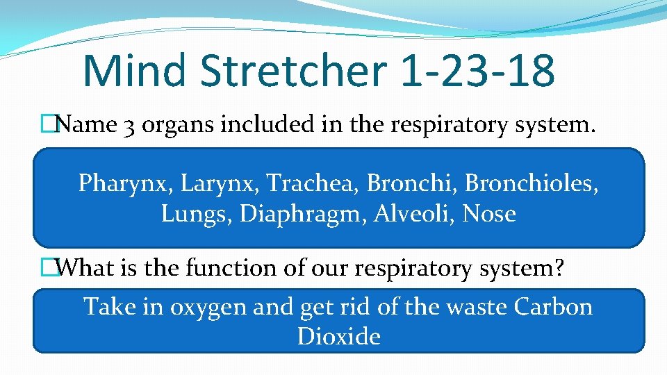 Mind Stretcher 1 -23 -18 �Name 3 organs included in the respiratory system. Pharynx,