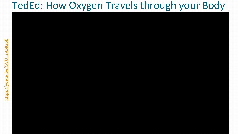 https: //youtu. be/GVU_z. ANtro. E Ted. Ed: How Oxygen Travels through your Body 