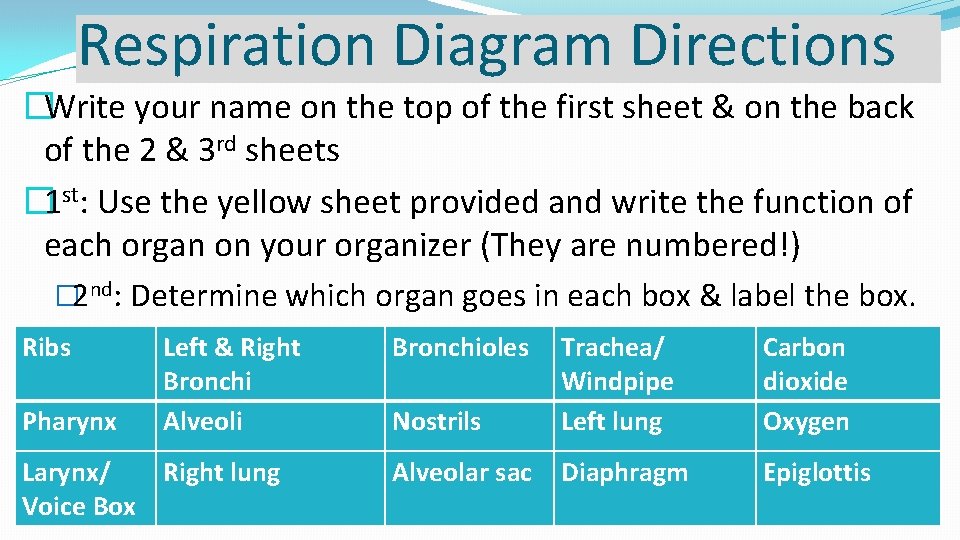 Respiration Diagram Directions �Write your name on the top of the first sheet &