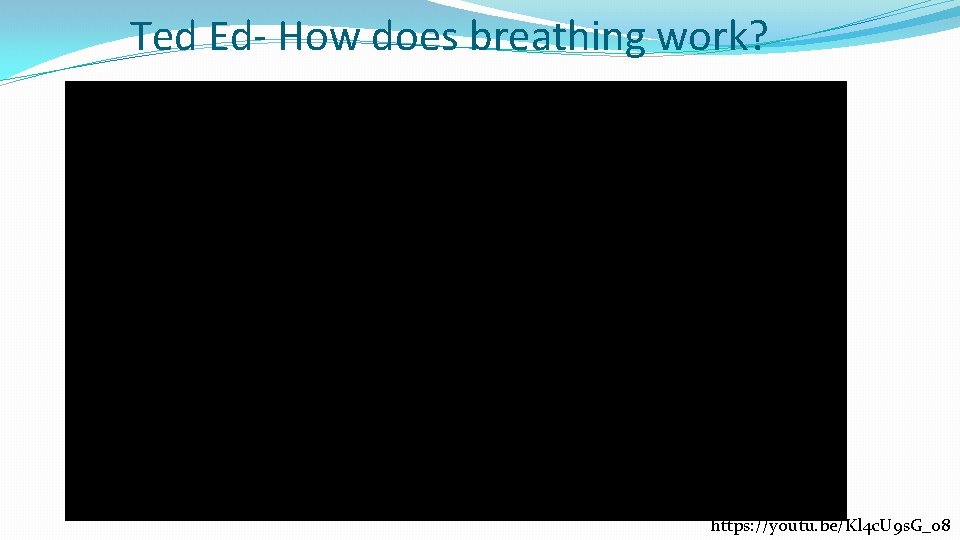 Ted Ed- How does breathing work? https: //youtu. be/Kl 4 c. U 9 s.
