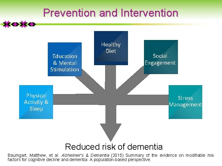 Prevention and Intervention Education & Mental Stimulation Healthy Diet Social Engagement Physical Activity &