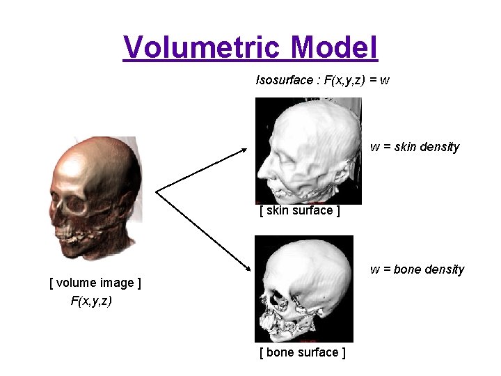 Volumetric Model Isosurface : F(x, y, z) = w w = skin density [