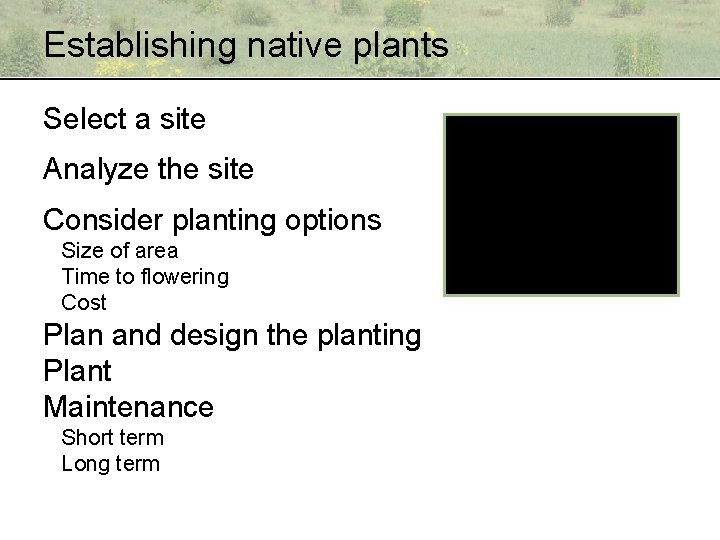 Establishing native plants Select a site Analyze the site Consider planting options Size of