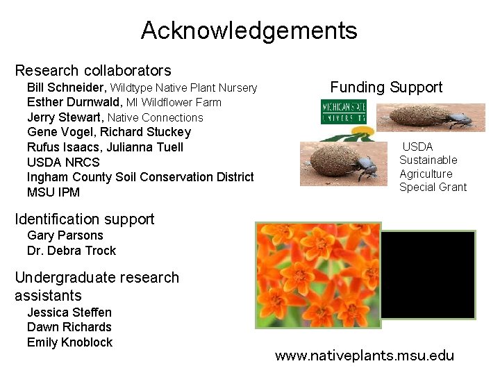 Acknowledgements Research collaborators Bill Schneider, Wildtype Native Plant Nursery Esther Durnwald, MI Wildflower Farm