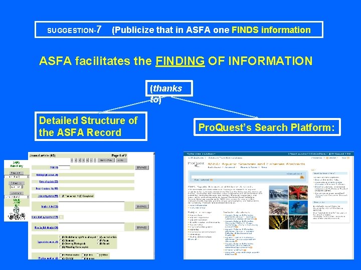 SUGGESTION-7 (Publicize that in ASFA one FINDS information ASFA facilitates the FINDING OF INFORMATION