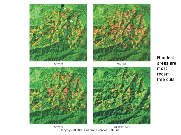 Reddest areas are most recent tree cuts 