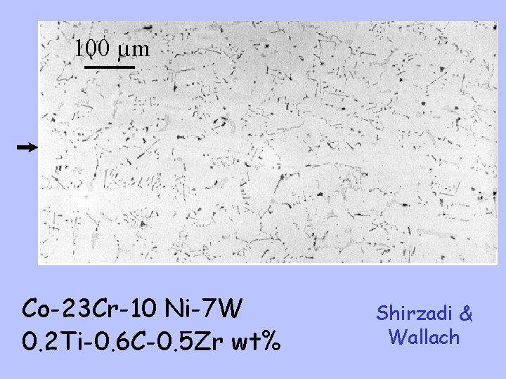 100 µm Co-23 Cr-10 Ni-7 W 0. 2 Ti-0. 6 C-0. 5 Zr wt%