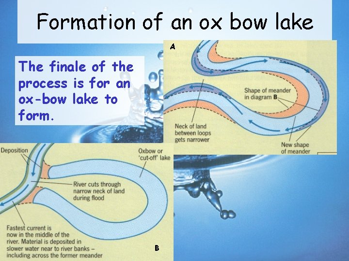 Formation of an ox bow lake A The finale of the process is for