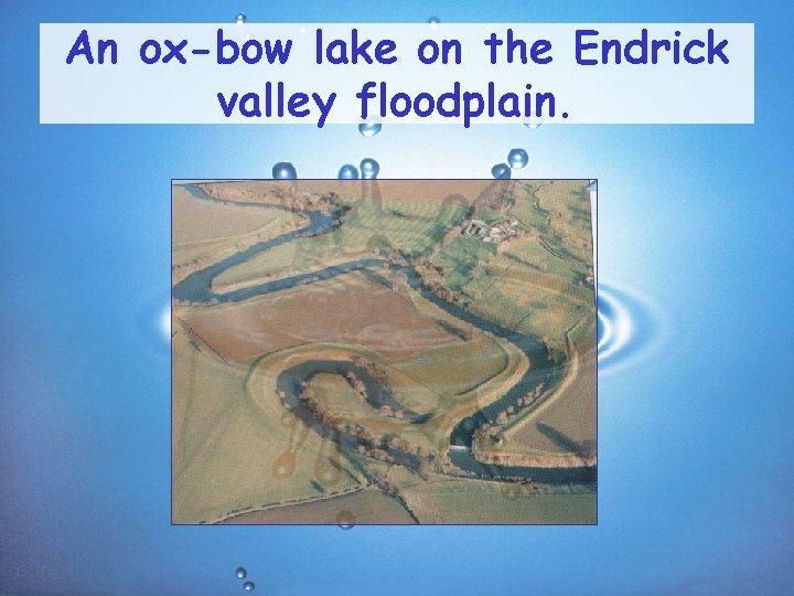 An ox-bow lake on the Endrick valley floodplain. 