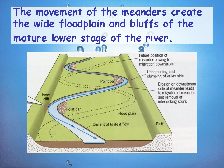The movement of the meanders create the wide floodplain and bluffs of the mature