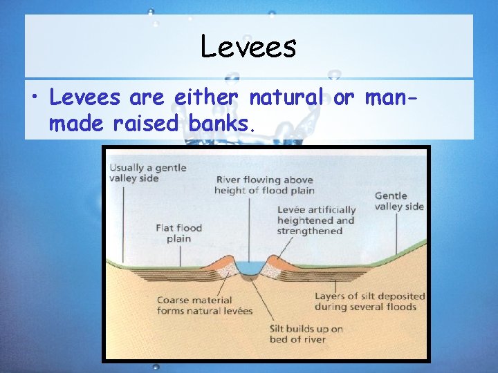 Levees • Levees are either natural or manmade raised banks. 