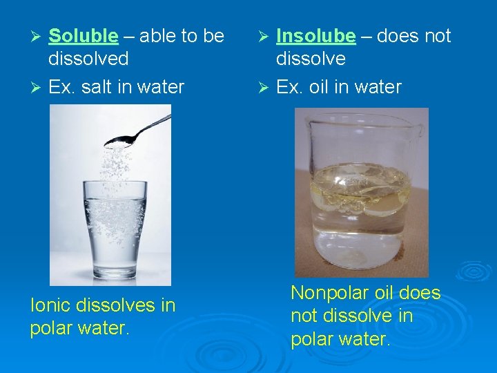 Soluble – able to be dissolved Ø Ex. salt in water Ø Ionic dissolves