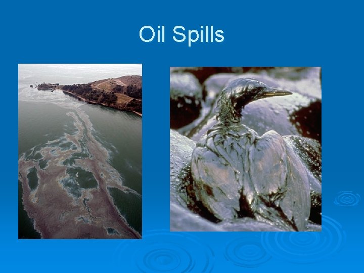 Oil Spills 