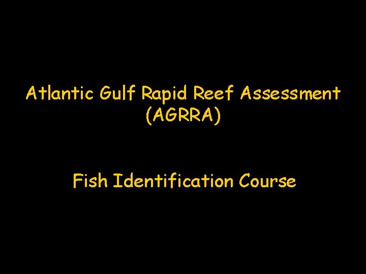 Atlantic Gulf Rapid Reef Assessment (AGRRA) Fish Identification Course 