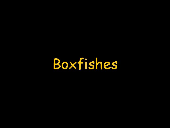 Boxfishes 