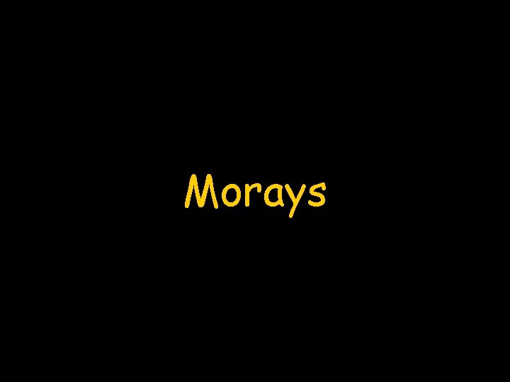 Morays 