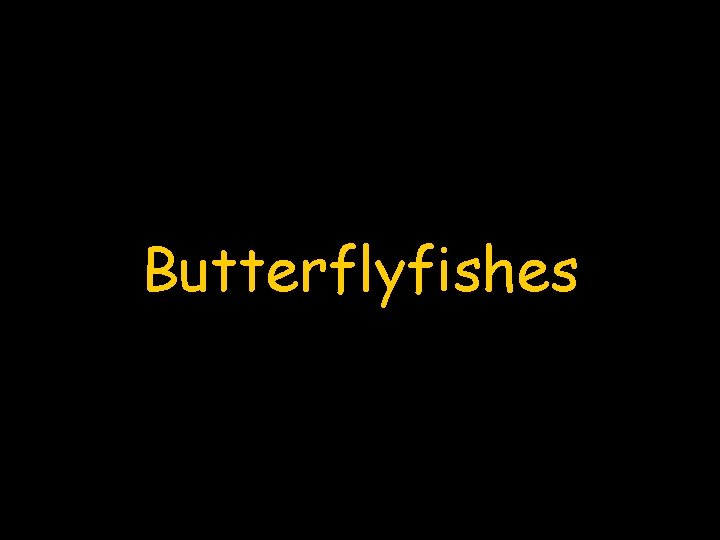 Butterflyfishes 