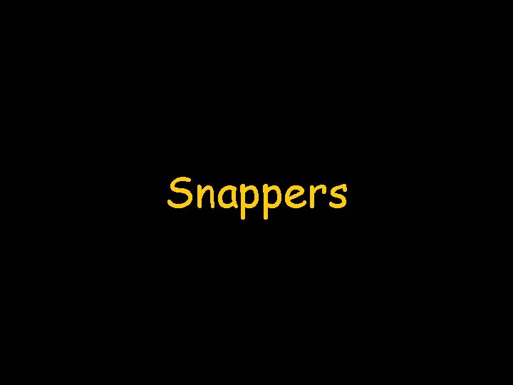 Snappers 