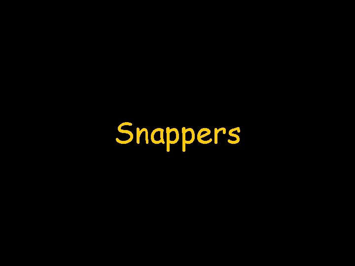 Snappers 