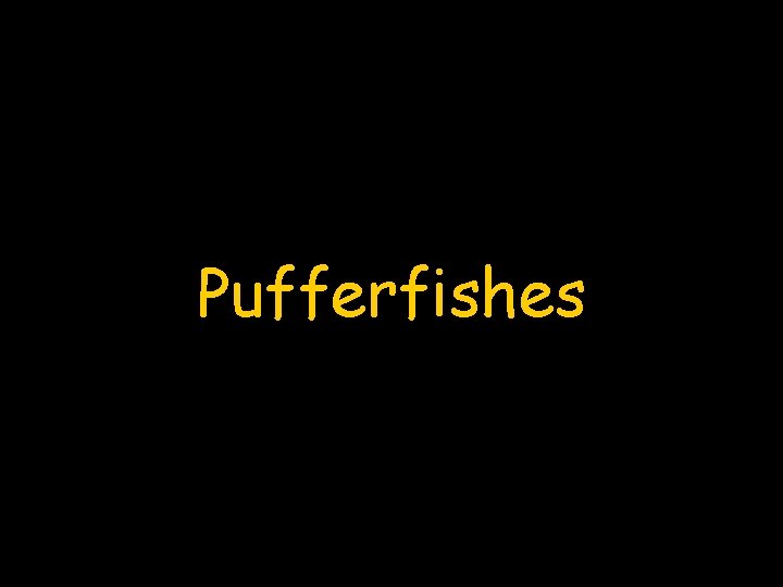 Pufferfishes 