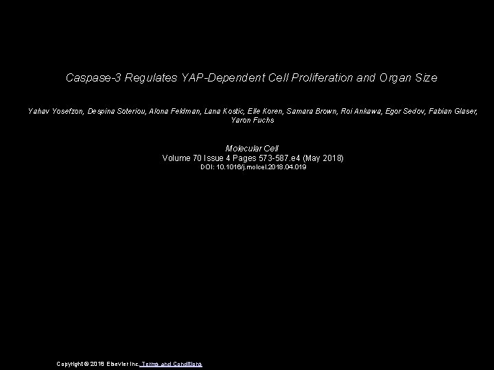 Caspase-3 Regulates YAP-Dependent Cell Proliferation and Organ Size Yahav Yosefzon, Despina Soteriou, Alona Feldman,