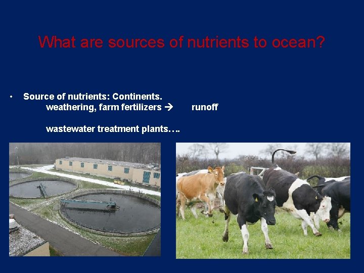 What are sources of nutrients to ocean? • Source of nutrients: Continents. weathering, farm