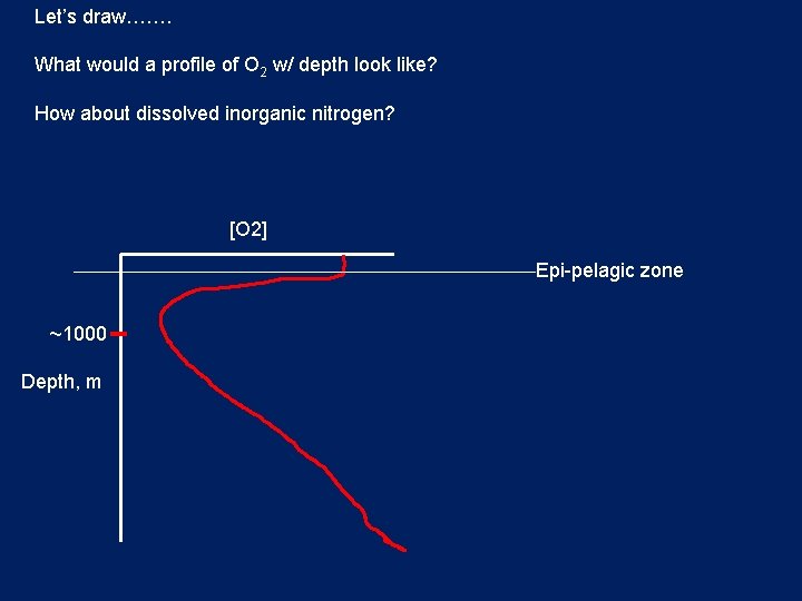 Let’s draw……. What would a profile of O 2 w/ depth look like? How