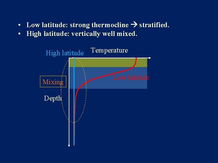  • Low latitude: strong thermocline stratified. • High latitude: vertically well mixed. High