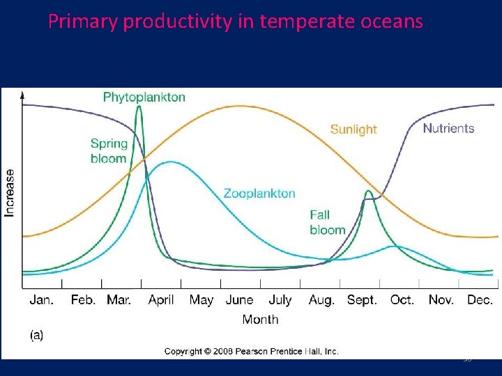 Primary productivity in temperate oceans 30 