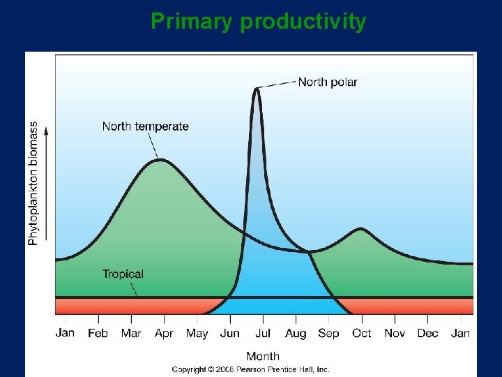 Primary productivity 31 