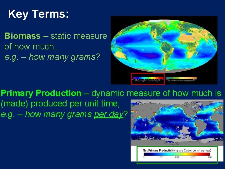 Key Terms: Biomass – static measure of how much, e. g. – how many