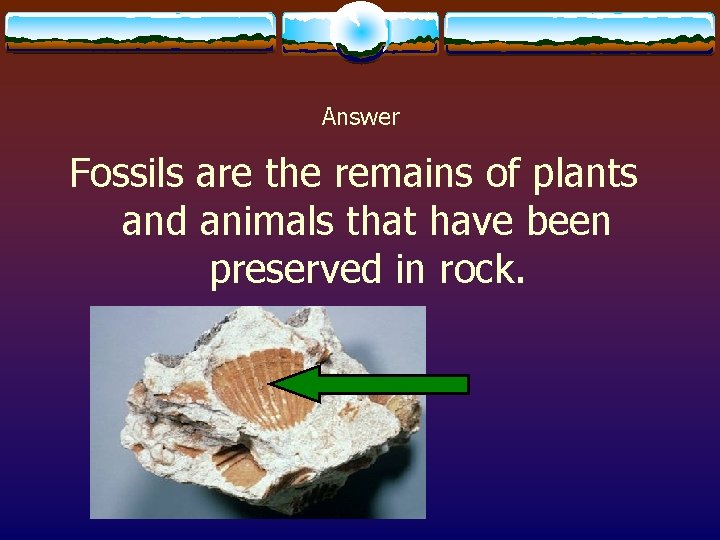 Answer Fossils are the remains of plants and animals that have been preserved in