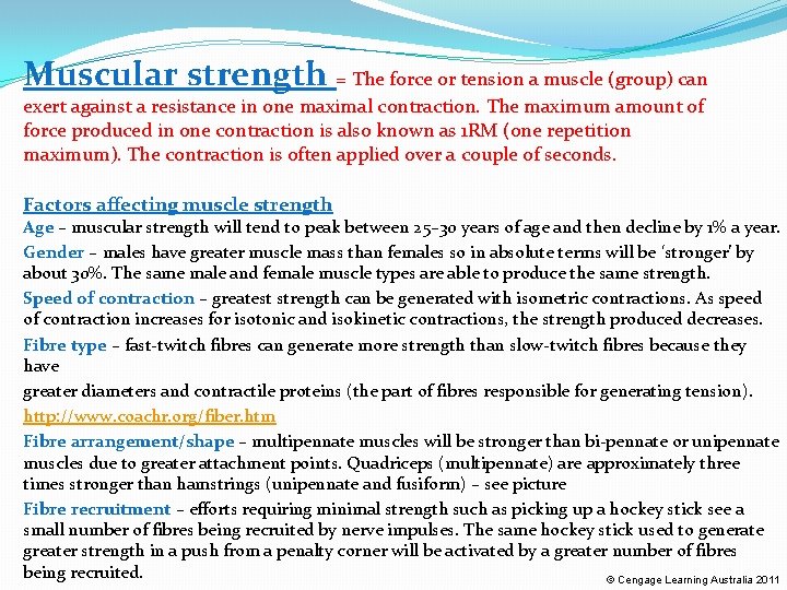 Muscular strength = The force or tension a muscle (group) can exert against a