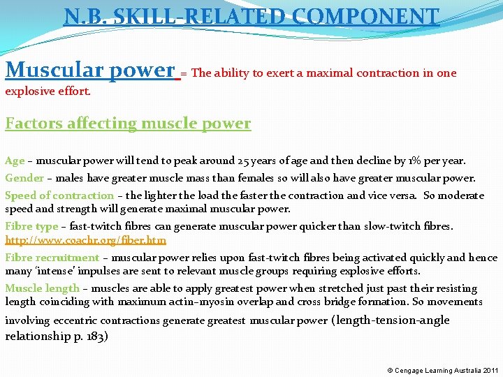 N. B. SKILL-RELATED COMPONENT Muscular power = The ability to exert a maximal contraction