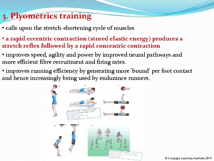 3. Plyometrics training • calls upon the stretch-shortening cycle of muscles • a rapid