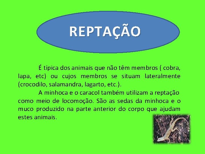 REPTAÇÃO É típica dos animais que não têm membros ( cobra, lapa, etc) ou