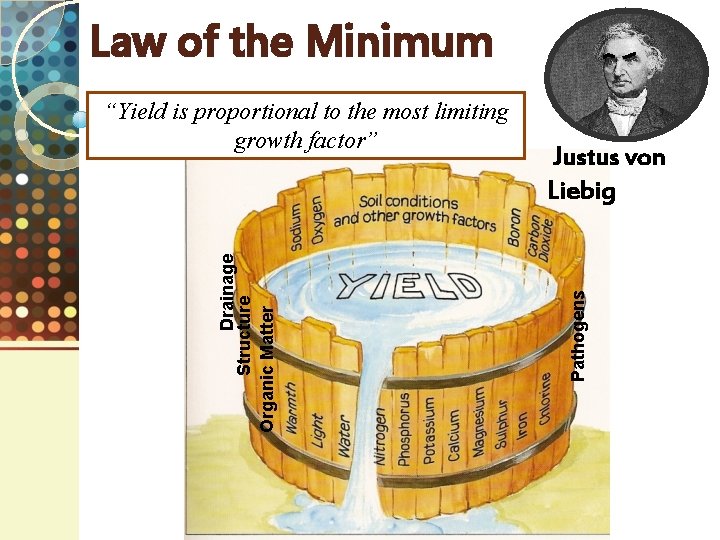 Law of the Minimum Justus von Liebig Pathogens Drainage Structure Organic Matter “Yield is