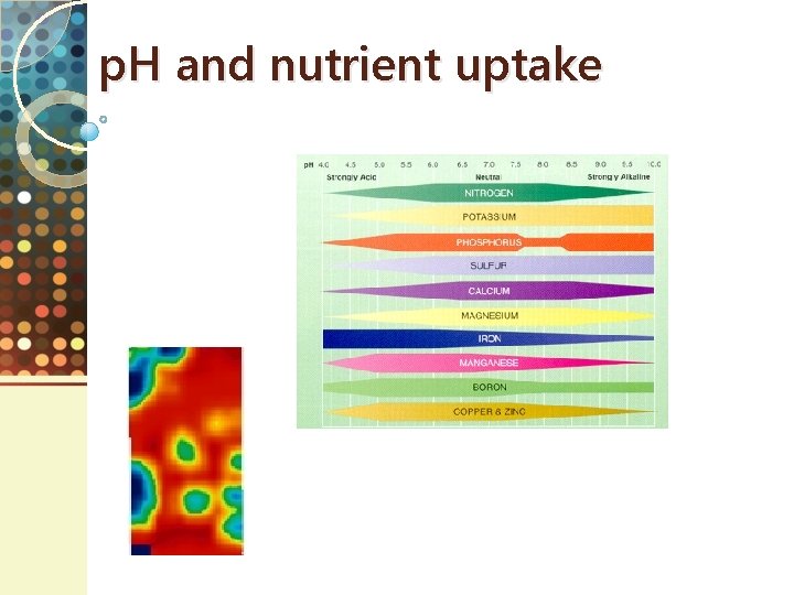 p. H and nutrient uptake 