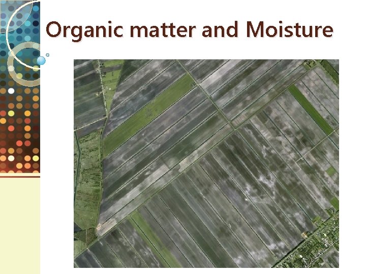 Organic matter and Moisture 