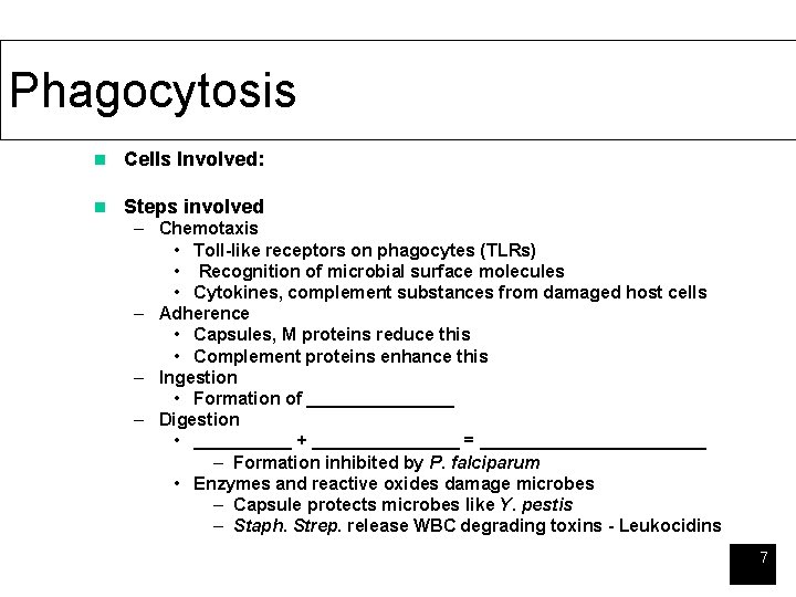 Phagocytosis n Cells Involved: n Steps involved – Chemotaxis • Toll-like receptors on phagocytes