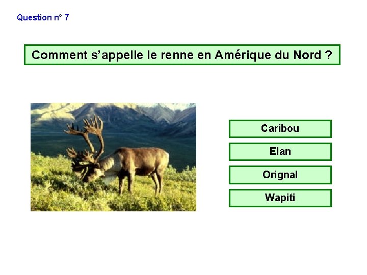 Question n° 7 Comment s’appelle le renne en Amérique du Nord ? Caribou Elan Question n° 7 Comment s’appelle le renne en Amérique du Nord ? Caribou Elan