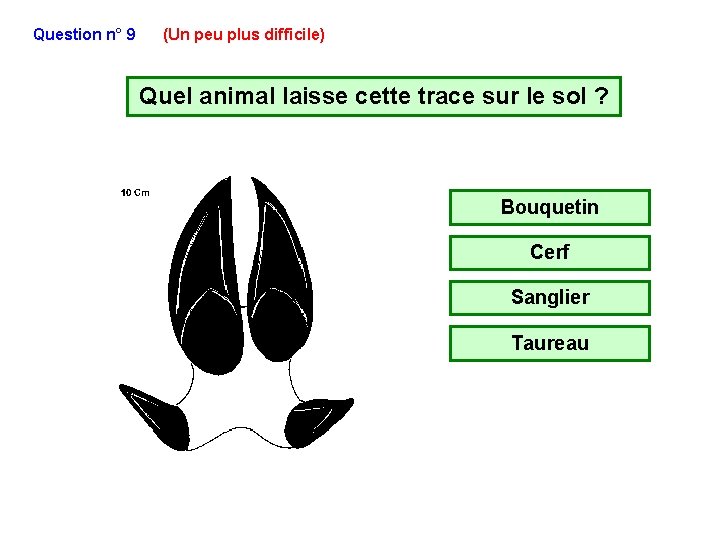 Question n° 9 (Un peu plus difficile) Quel animal laisse cette trace sur le Question n° 9 (Un peu plus difficile) Quel animal laisse cette trace sur le