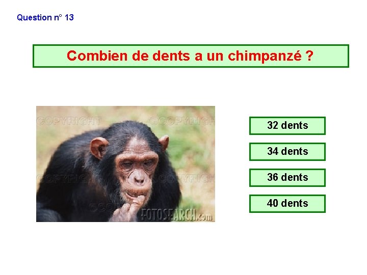 Question n° 13 Combien de dents a un chimpanzé ? 32 dents 34 dents Question n° 13 Combien de dents a un chimpanzé ? 32 dents 34 dents